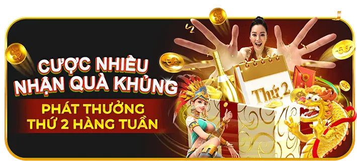Tận dụng các vòng quay miễn phí